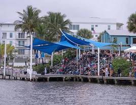 crowd